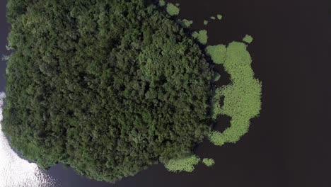 A-topdown-drone-shot-panning-backwards,-over-a-green-island-with-water,-in-the-Netherlands