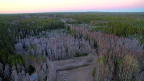 Aerial-shot-of-a-Finnish-spruce-forest-in-the-first-days-of-winter