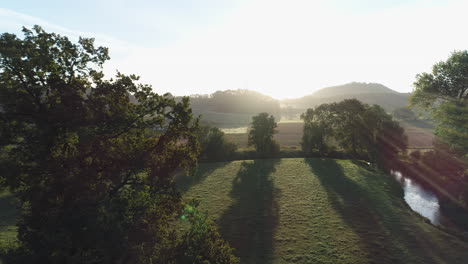 Eine-Untere-Luftaufnahme-Zwischen-Bäumen-Eines-Sonnenaufgangs-An-Einem-Schönen-Sommermorgen
