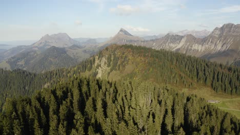 Flying-low-over-fir-trees-with-alpine-landscape-in-the-background-Le-Folly,-Vaud---Switzerland