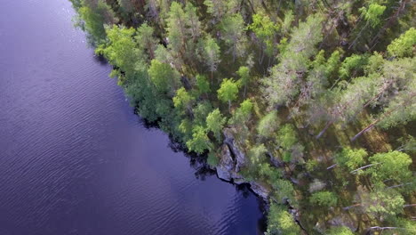 Drone-footage-of-ice-age-molded-shoreline-of-a-forest-lake