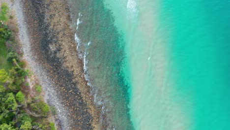 Top-down-drone-footage-of-a-forest-overlooking-a-pristine-beach-with-golden-sand-and-clear-blue-green-water,-filmed-on-the-Sunshine-Coast,-Australia