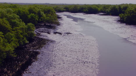 Folgen-Sie-Dem-See,-Der-Von-Großen-Mangrovenwäldern-Umgeben-Ist
