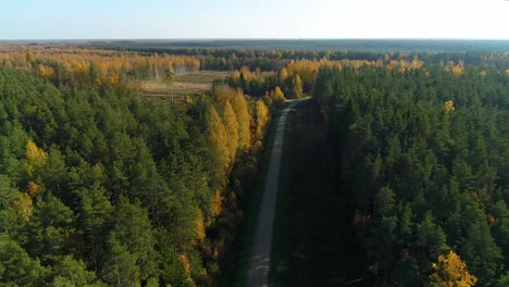 Bunte-Saisonale-Wälder-Im-Herbst-Fallen-Aus-Der-Luft
