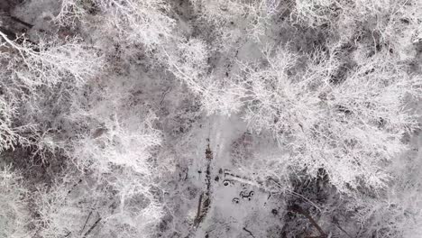 Aerial-footage-over-forest-after-snow-storm