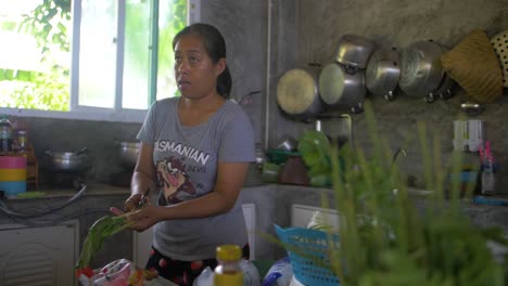 Vista-En-Cámara-Lenta-De-Una-Mujer-Tailandesa-Preparando-Comida-En-Su-Cocina
