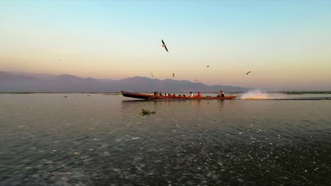 Myanmar-Inle-Lake-Birds-feeding--speed-boat-many