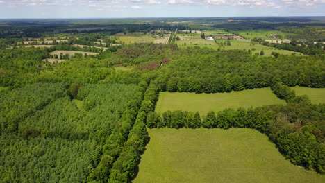 Drone-rising-above-a-large-forest-in-the-countryside