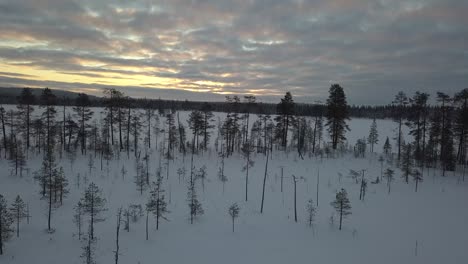 The-frozen-forest-near-Kuusamo-in-Lapland,-Finland
