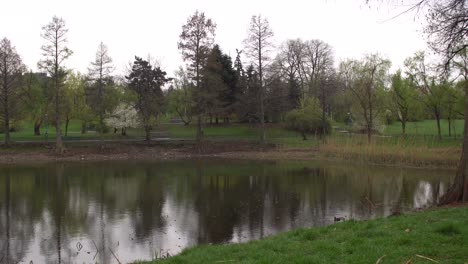 Static-Beautiful-Spring-Landscape-Footage-On-A-Rainy-Day
