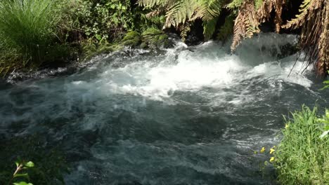 SLOWMO---Fast-flowing-river-with-rapids-Putaruru-Blue-Spring,-New-Zealand
