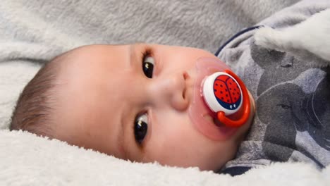 CLOSE-UP-of-cute-baby-lying-down-while-sucking-on-a-ladybug-pacifier