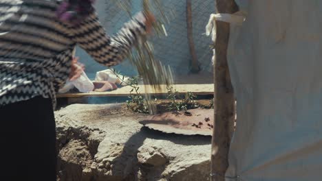 Afghan-woman-feeds-Tandoor-fire-with-olive-branches-at-refugee-camp