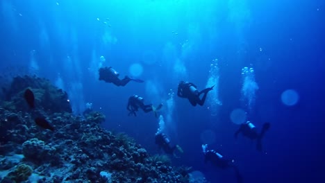 Divers-swimming-carefully-at-the-bottom-of-the-coral-sea