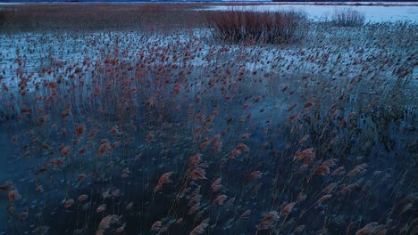 Super-cold-frozen-lake-in-evening-sunset-blue-light