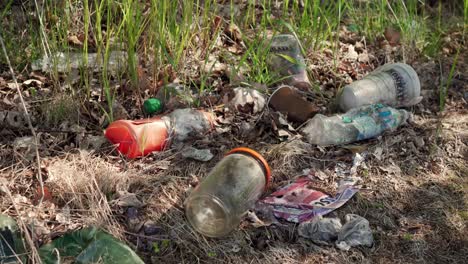 Detail-Von-Müll-In-Der-Natur---Plastik--Und-Glasverschmutzung-Tötet-Die-Mutter-Erde