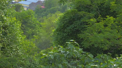 Nebel-In-Der-Stadt-In-Frosinone,-Italien