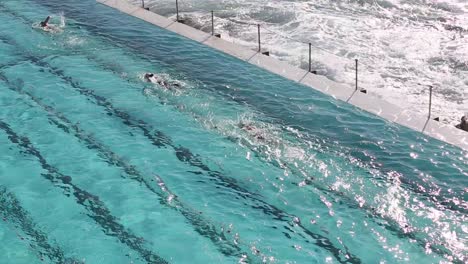 Nadadores-Entrenando-Y-Dando-Vueltas-En-La-Piscina-Bondi-Ocean-En-Un-Hermoso-Día-De-Primavera
