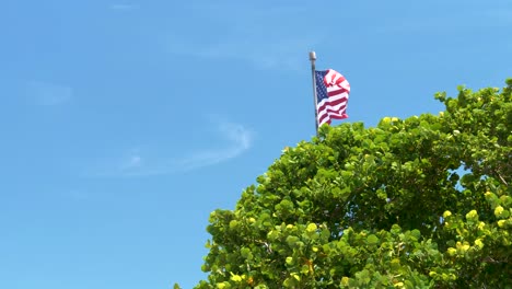 Bandera-Americana-Ondeando-Al-Viento