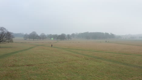 Aerial-view-of-Richmond-Park-on-a-winter-morning,-with-walkers-and-dog-in-frame