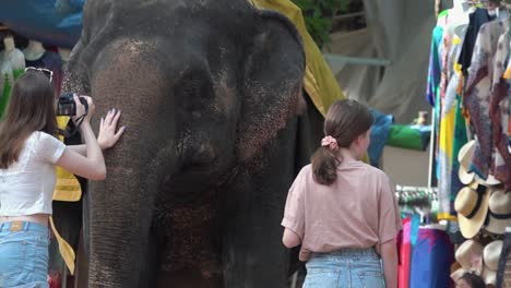 Mädchen-Posiert-Für-Selfie-Und-Streichelt-Elefanten-In-Angkor-Wat