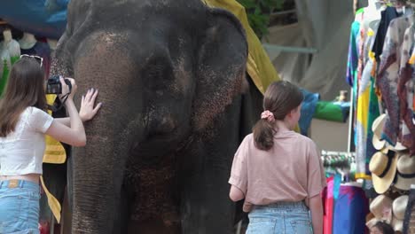 Girl-Poses-for-Selfie-and-Strokes-Elephant-at-Angkor-Wat