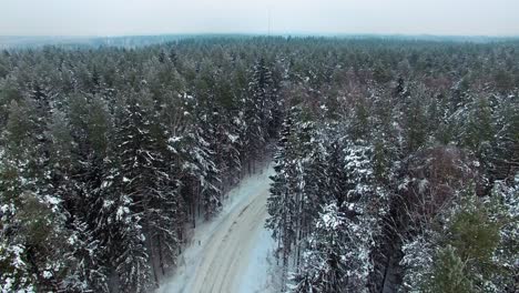 Forward-rising-aerial-view-of-a-road-turn-in-a-snowy-fir-tree-forest