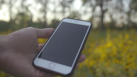 Man-hold-Phone-in-Field-of-Yellow-Flowers