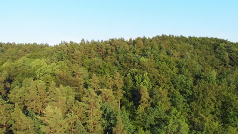 Boom-shot-from-a-drone-of-polish-boreal-forest-in-pomerania-district-