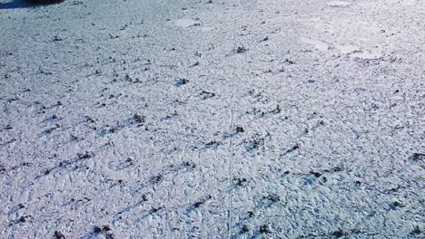 Vogelperspektive-Der-Schneebedeckten-Moorlandschaft-Mit-Wanderweg-Und-Zugefrorenen-Seen-An-Sonnigen-Wintertagen,-Dunika-Torfmoor,-Weitwinkeldrohnenaufnahme-In-Großer-Höhe,-Die-Sich-Rückwärts-Bewegt