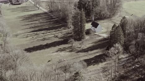 Horses-at-a-farm-from-above---changing-from-black-and-white-to-a-colorful-4K-drone-video-of-a-rural-landscape