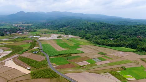 Road-amid-countryside-farmland-landscape-Salaman-village,-Java-Indonesia,-aerial