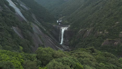 Senpiro-no-Taki,-Senpiro-Waterfall-Yakushima,-Aerial-Tilt-Reveal-over-Forest