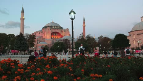 Abendclip-Von-Hagia-Sophia,-Eingerahmt-Von-Blumen-Während-Der-Covid-Pandemie-2020