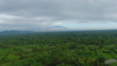 Aerial-lush-green-tropical-forest-of-Java-island-and-Mount-Sumbing-in-distance