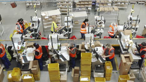 Employees-Sorting-Mail-Packages-For-Delivery,-Shipping-And-Courier-Transportation-Industry