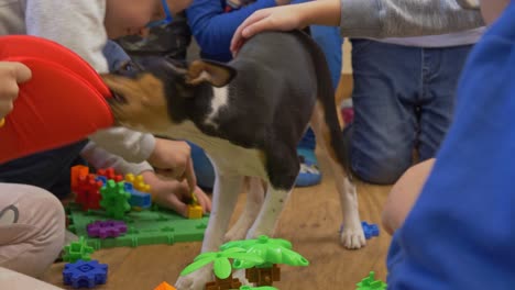 Close-shot-of-a-puppy-playing-with-children