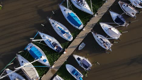 Aerial-lowering-on-sailboats-docked-inline-surrounded-by-aquatic-perennial-plants-in-Olivos-Port,-Buenos-Aires