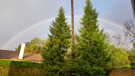 Hübscher-Regenbogen-Mit-Zwei-Kiefern-über-Einem-Hinterhof