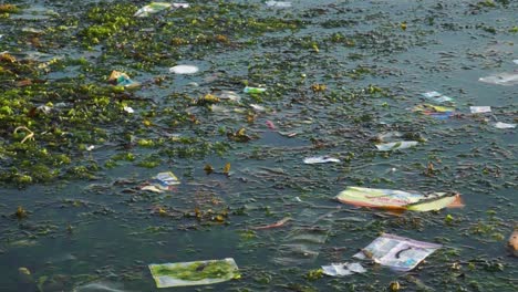 Plastic-Garbage-Floating-On-Dirty-Beach-Water-In-Son-Hai