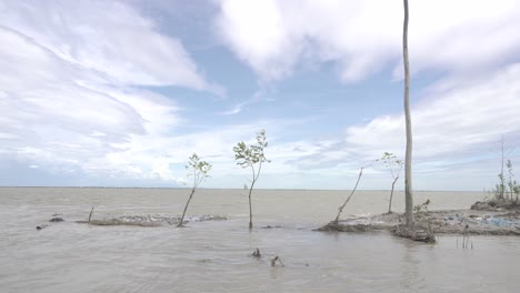 The-water-stream-of-a-riverside-village-where-trees-went-underwater-after-the-flood