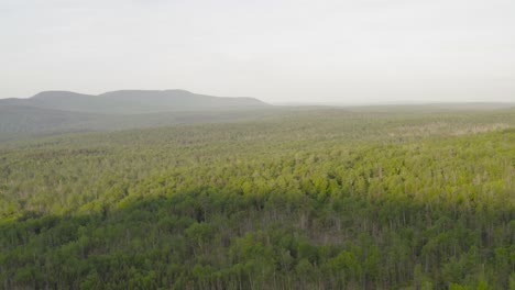 Dense-lush-green-forestry-stretching-as-far-as-the-eye-can-see-AERIAL-4K