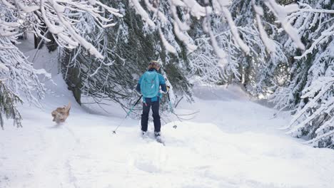 Skier-sliding-through-snow-forest-with-golden-retriever-dog