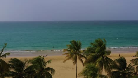 A-flyover-of-palm-trees-to-the-beach-located-on-the-coast-of-San-Juan,-Puerto-Rico