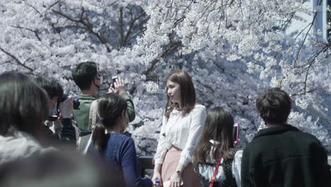 Young-Man-Taking-Photo-Of-A-Pretty-Girl-With-Cherry-Blossom-In-Background-During-Hanami-Amidst-Pandemic-In-Tokyo,-Japan