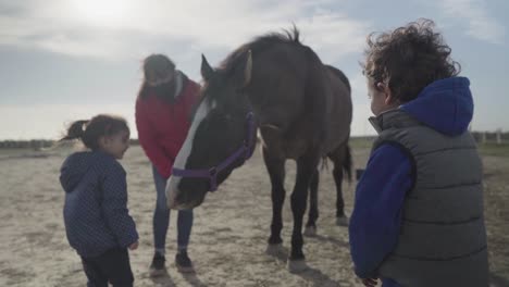 Kinder-Genießen-Es,-An-Einem-Sonnigen-Tag-Auf-Dem-Bauernhof-In-Argentinien-Mit-Dem-Pferd-Zu-Interagieren