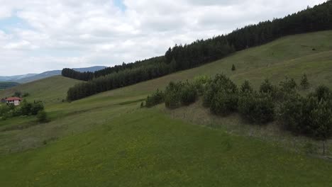 Meadow,-fence-and-forest-in-the-village.-Drone