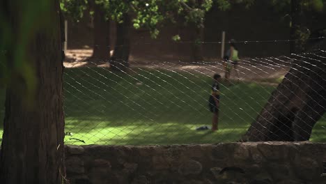 Gimbal-shot-of-a-park-fence-and-kids-playing-soccer-behind-it