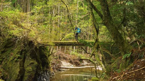 Static,-hiker-crosses-bridge-over-stream-amongst-mossy-forest,-Kumano-Kodo