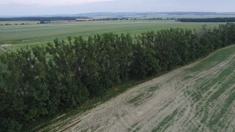 4K-aerial-drone-footage-skimming-over-the-deciduous-woodland-and-over-farm-fields-towards-a-countryside-during-summertime